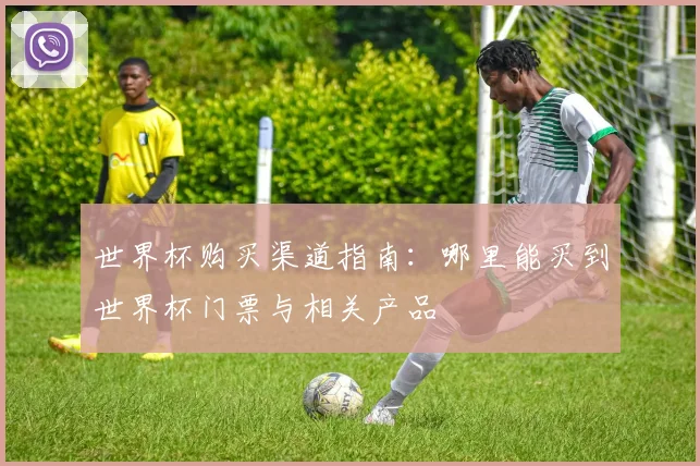 世界杯购买渠道指南：哪里能买到世界杯门票与相关产品