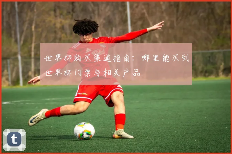 世界杯购买渠道指南：哪里能买到世界杯门票与相关产品