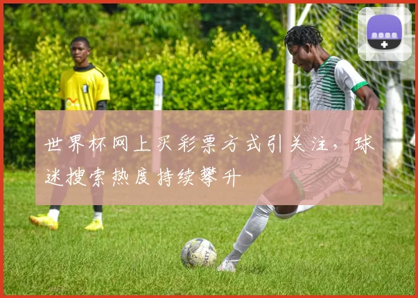 世界杯网上买彩票方式引关注，球迷搜索热度持续攀升