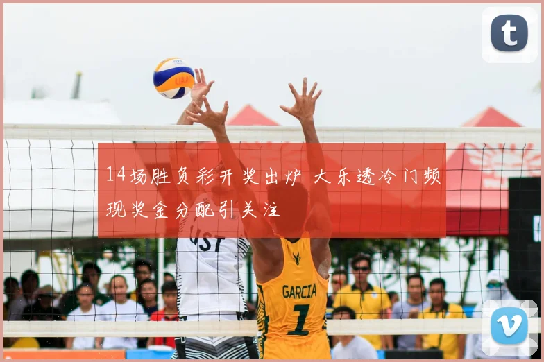 14场胜负彩开奖出炉 大乐透冷门频现奖金分配引关注